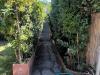 Villa in affitto arredato a Forte dei Marmi - 06