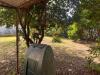 Casa indipendente in vendita con giardino a Seravezza - ripa - 02