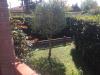 Villa in vendita con giardino a Pietrasanta - 03