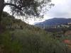 Terreno in vendita con giardino a Alassio in regione liggia - 04
