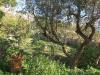 Villa in vendita con giardino a Alassio in via cazulini  - 09