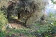 Terreno in vendita con giardino a Alassio - 03