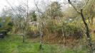 Terreno in vendita con giardino a Alassio - 05