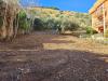 Terreno Edificabile in vendita a Palermo - 10