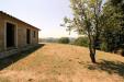 Terreno Agricolo in vendita a Scansano - 04