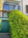 Appartamento bilocale in vendita con giardino a Montescudaio - 05