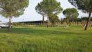 Terreno Agricolo in vendita a Castiglione del Lago - 04