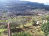Rustico in vendita con giardino a Roccastrada - 05
