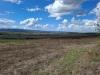 Terreno Agricolo in vendita a Sovicille - 02