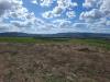 Terreno Agricolo in vendita a Sovicille - 03