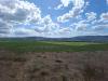 Terreno Agricolo in vendita a Sovicille - 04