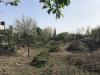 Terreno Agricolo in vendita a Cesano Maderno - 02, IMG_6831.jpg