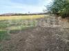 Terreno Agricolo in vendita a Battipaglia - 07, 5942709376193858940.jpg