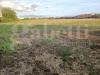 Terreno Agricolo in vendita a Battipaglia - 09, 5942709376193858942.jpg