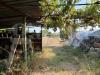Terreno Agricolo in vendita a Battipaglia - 03, 40b3a49d-d783-474f-8422-2c9137b08286.JPG