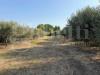 Terreno Agricolo in vendita a Battipaglia - 04, 438df8fe-ff96-4276-ba5d-b755d4c9c12c.JPG