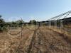 Terreno Agricolo in vendita a Battipaglia - 06, 7931b45b-e172-476e-bb7d-acf93c2673bf.JPG