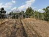 Terreno Agricolo in vendita a Battipaglia - 08, a7d78ae6-fb19-42ef-806e-8893e2fcc433.JPG
