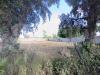 Terreno Edificabile in vendita a Nettuno - 10, WhatsApp Image 2024-07-04 at 12.15.10 (4).jpeg