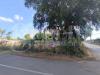 Terreno Edificabile in vendita a Nettuno - 08, WhatsApp Image 2024-07-04 at 12.15.10 (3).jpeg