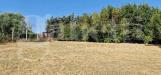 Terreno Agricolo in vendita a Nettuno - 09, WhatsApp Image 2024-07-04 at 12.35.25.jpeg
