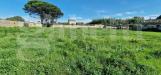 Terreno Edificabile in vendita a Nettuno - 10, WhatsApp Image 2024-10-28 at 11.11.13.jpeg
