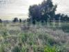 Terreno Agricolo in vendita a Nettuno - 10, WhatsApp Image 2025-02-17 at 16.00.52 (4).jpeg