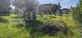 Terreno Edificabile in vendita a Nettuno - 08, WhatsApp Image 2024-10-28 at 11.06.21 (1).jpeg