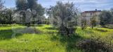 Terreno Edificabile in vendita a Nettuno - 09, WhatsApp Image 2024-10-28 at 11.06.21 (2).jpeg