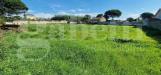 Terreno Edificabile in vendita a Nettuno - 09, WhatsApp Image 2024-10-28 at 11.11.13 (2).jpeg
