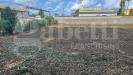 Terreno Edificabile in vendita a Nettuno - 02, WhatsApp Image 2025-09-12 at 11.18.20 (1).jpeg