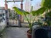 Appartamento in vendita con giardino a Anzio - 06, WhatsApp Image 2026-03-04 at 11.49.30 (17).jpeg