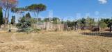 Terreno Agricolo in vendita a Nettuno - 10, WhatsApp Image 2024-07-04 at 12.35.26 (1).jpeg