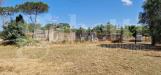 Terreno Agricolo in vendita a Nettuno - 08, WhatsApp Image 2024-07-04 at 12.35.26 (3).jpeg