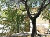 Casa indipendente in vendita a Ascoli Satriano - 09, AnyConv.com__01 (1).jpg