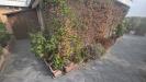 Attico in affitto arredato a Busto Arsizio - 09, 20260925_113721.jpg