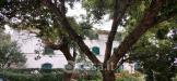 Appartamento bilocale in vendita con giardino a Rosignano Marittimo - 02, villa