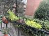 Appartamento in vendita con box a Bologna in via canonici - 10