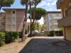 Appartamento bilocale in affitto a Rosignano Marittimo - vada - 06