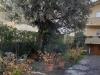 Villa in vendita con giardino a Rosignano Marittimo - vada - 04