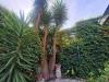 Villa in vendita con giardino a Rosignano Marittimo - vada - 05