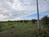 Terreno Agricolo in vendita a Rosignano Marittimo - vada - 02
