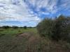 Terreno Agricolo in vendita a Rosignano Marittimo - vada - 03