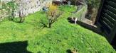 Casa indipendente in vendita con giardino a Borgo a Mozzano - gioviano - 04
