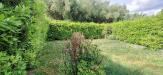 Casa indipendente in vendita con giardino a Lucca - san cassiano di moriano - 04