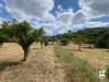 Terreno Agricolo in vendita a Librizzi - 03, 2.png