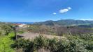 Terreno Agricolo in vendita a Patti - 03, WhatsApp Image 2022-03-15 at 21.11.19 (1).jpeg