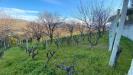 Terreno Agricolo in vendita a Patti - 08, 2.jpeg