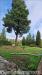 Appartamento in vendita con giardino a Asciano - 04