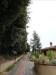 Villa in vendita a Sovicille - 06